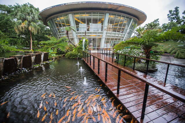 타이둥원시응용식물원