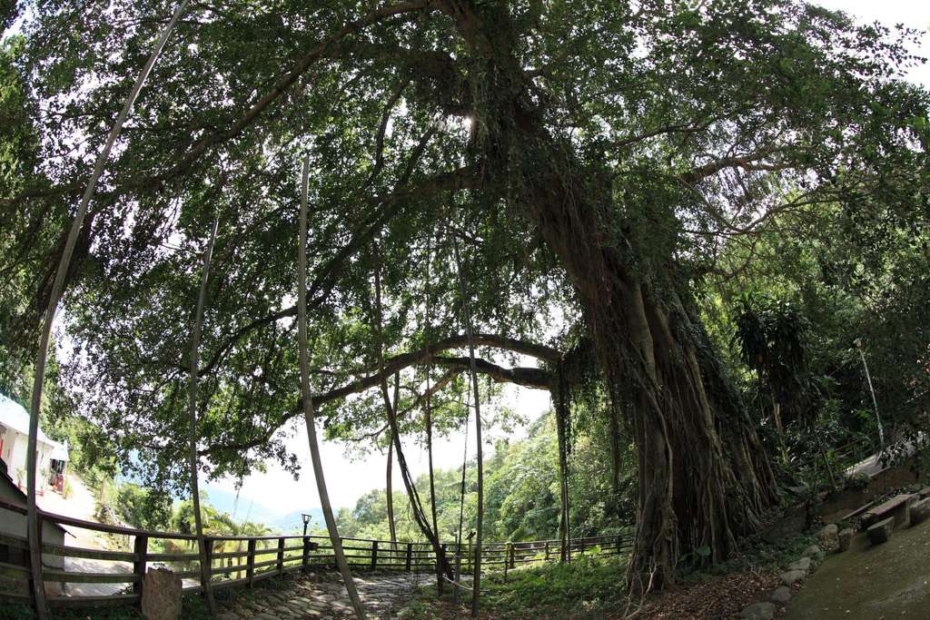 老夫老妻,感情永存