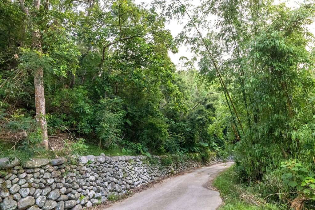 森林步道