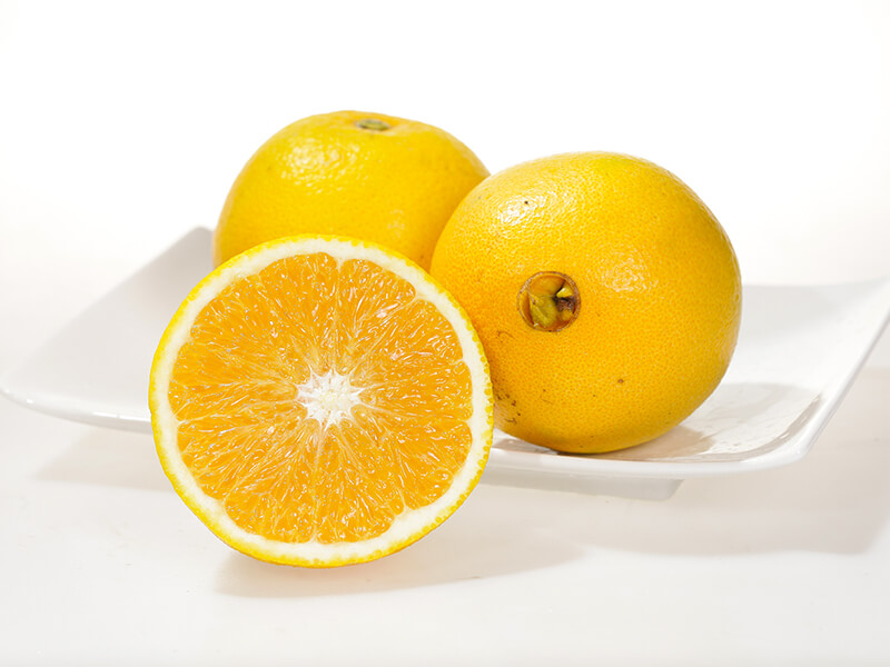 Valencia Orange Festival