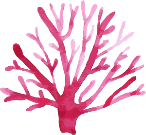 珊瑚裝飾圖