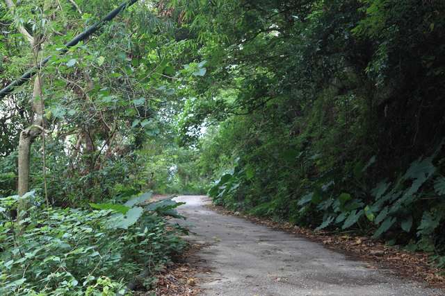 知本林道是一條幽靜的步道