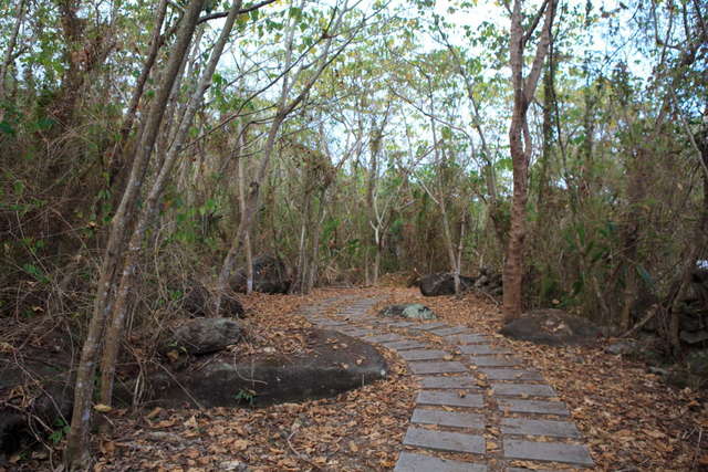 都蘭遺跡
