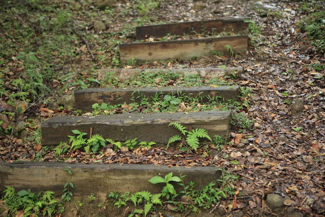 都蘭山登山步道