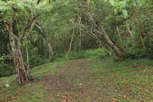 都兰山登山步道