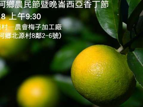 106年东河乡香丁节系列活动