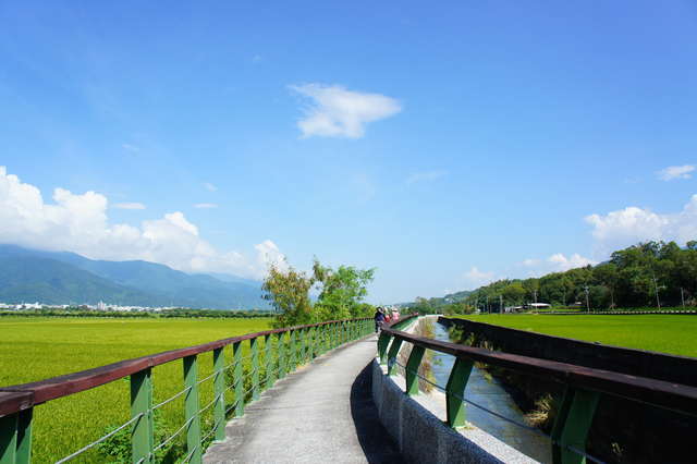 池上環圳自行車道-享受清風拂面的悠閒漫遊