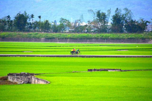 Chihshang Bicycle Trail