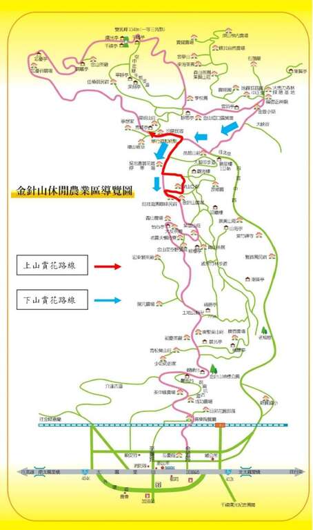 2019太麻里金針山忘憂花海系列活動