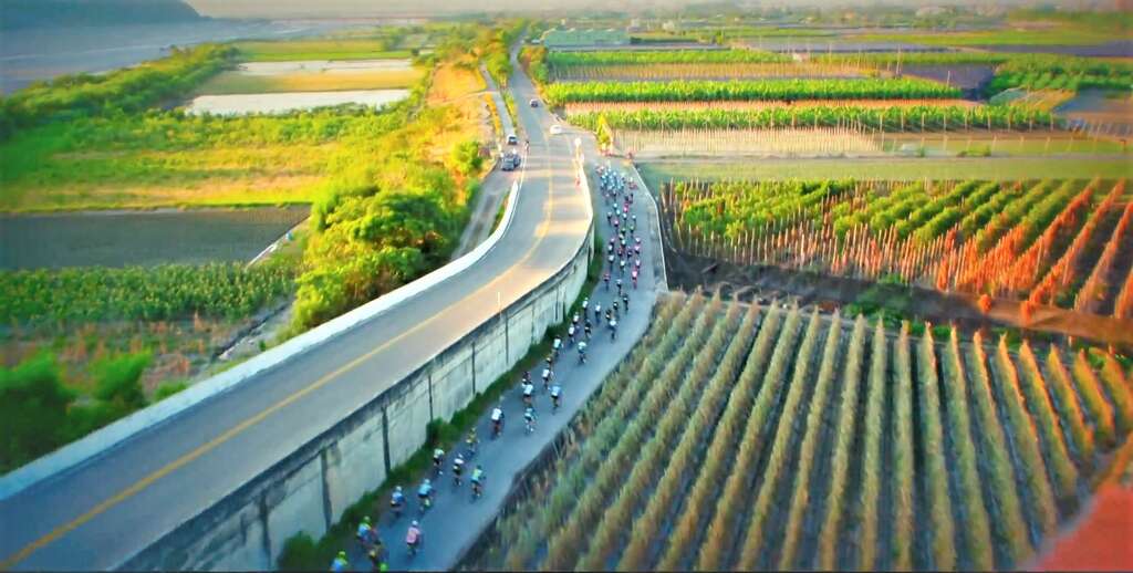 2020戀戀197自行車公路賽