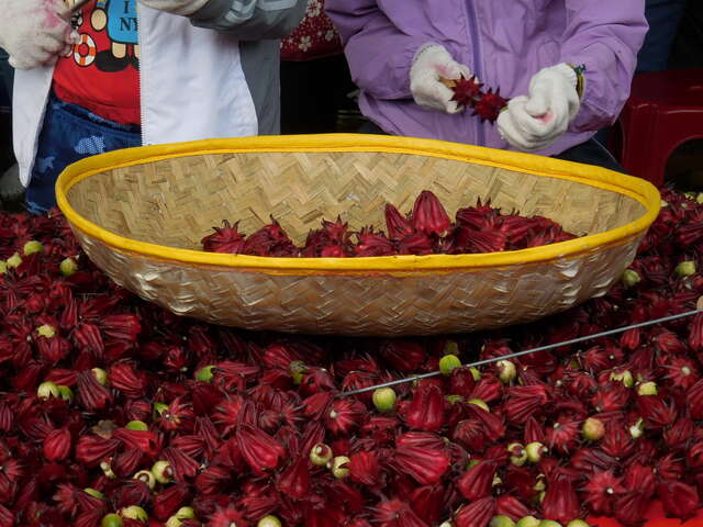 2020紅金寶系列活動-洛神花季