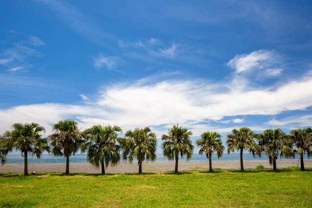 或可至绿荫下乘凉，欣赏海景