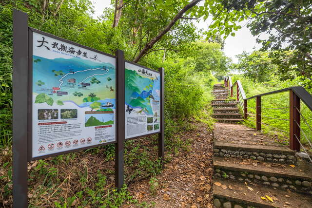 Dawu National Forest Trail