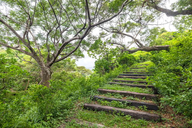 Dawu National Forest Trail