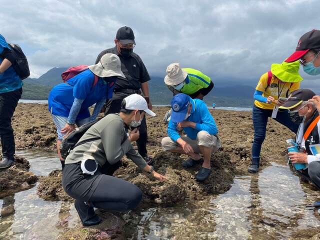 杉原之心地方培力工作坊潮間帶走讀