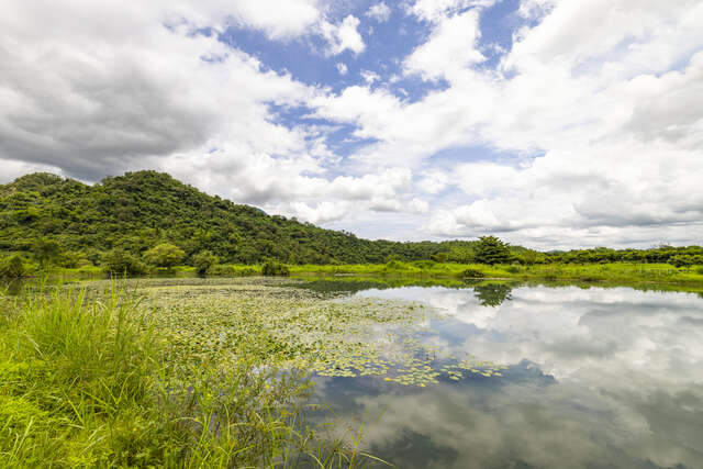 Xinliang Wetlands