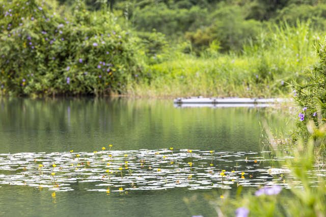 Xinliang Wetlands