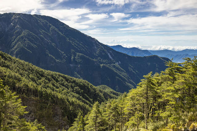 從埡口遠眺的山林美景