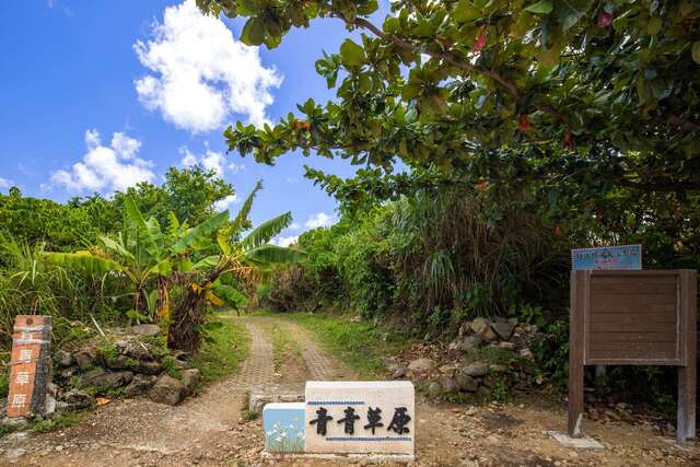 青青草原