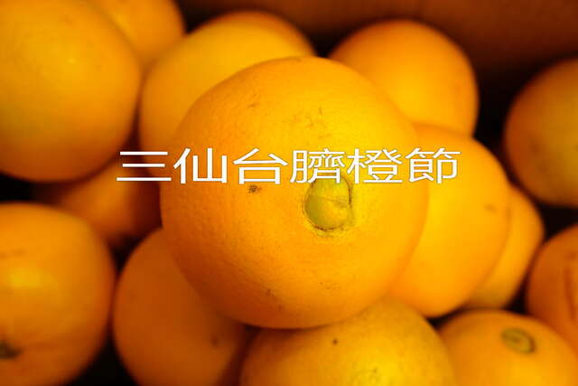 2022三仙台臍橙節