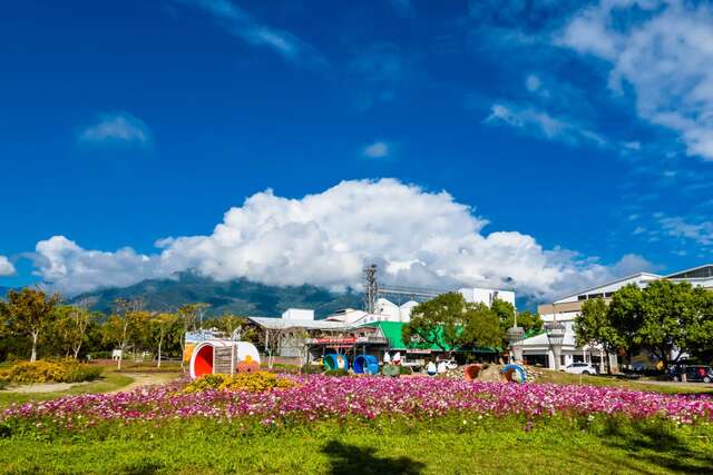 池上乡农会花卉画布