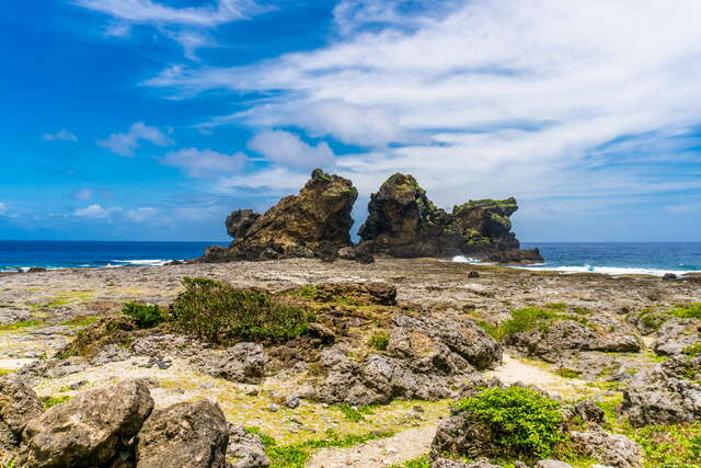 Lion Couple Rock