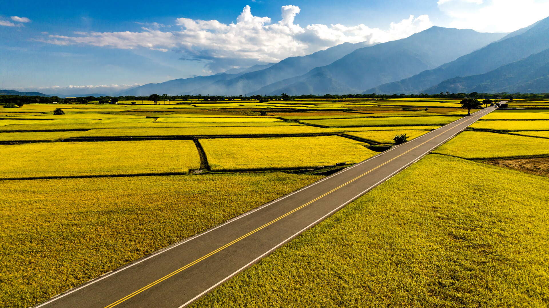 伯朗大道 台東觀光旅遊網