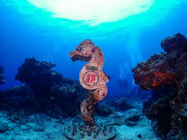 Green Island pygmy seahorse underwater mailbox (Green Island underwater world)