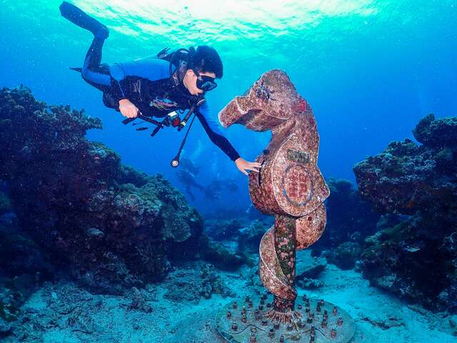 Green Island pygmy seahorse underwater mailbox (Green Island underwater world)