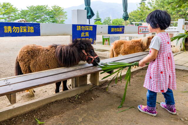 Chulu Ranch