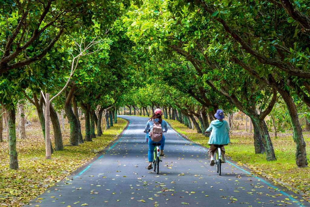 台东森林公园自行车道