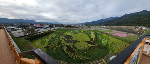 彩繪稻田全景(米國學校提供)