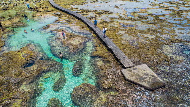 大白沙的潜水步道，可於退潮後观察潮间带的生态