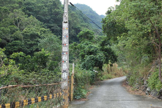 利嘉林道