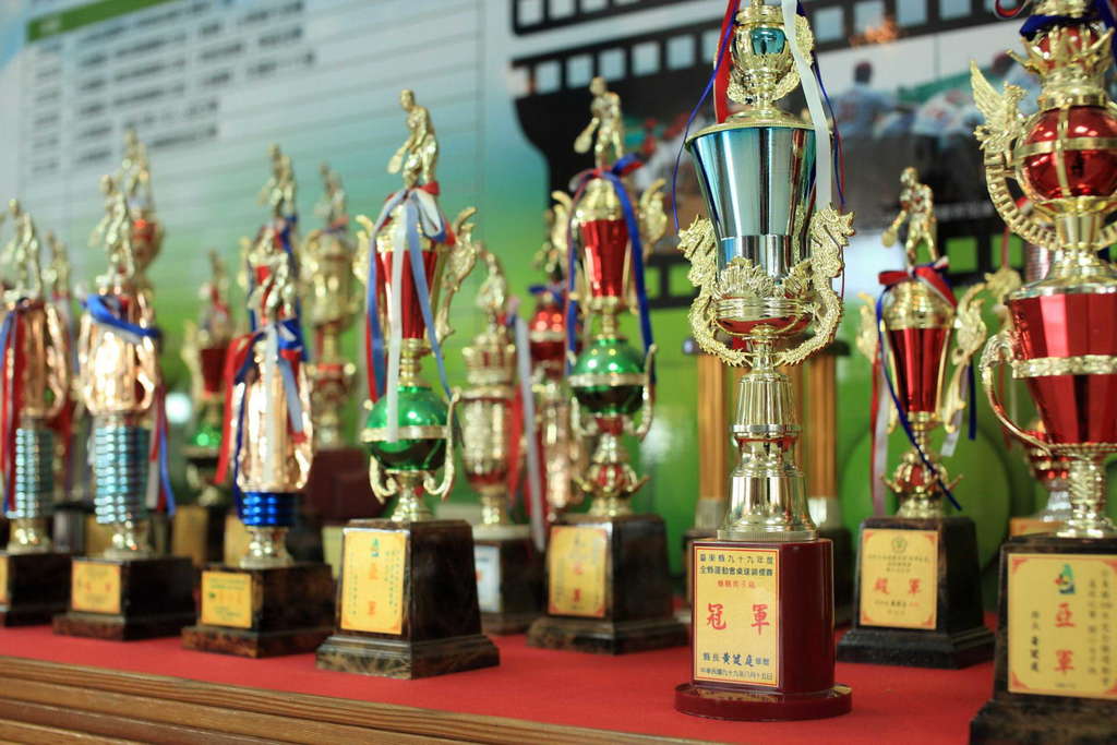 Hongye Teenage Baseball Memorial Hall 