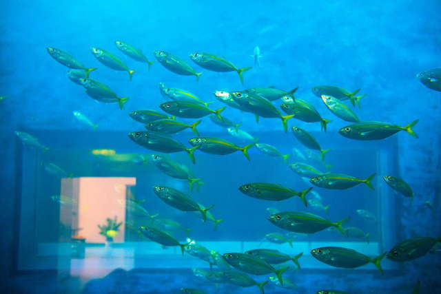 수중동물생태전시관