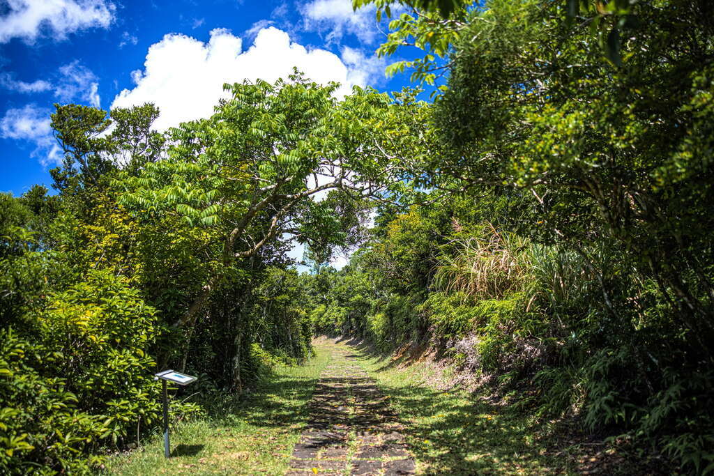 過山古道
