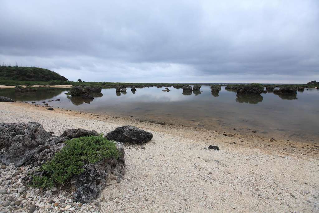 綠島紫坪生態保育區