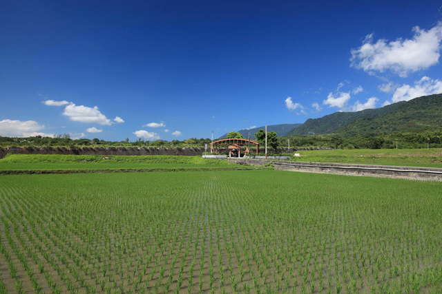 万安禾鸭生态池