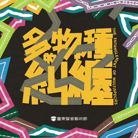 圖片取自臺東聲音藝術節