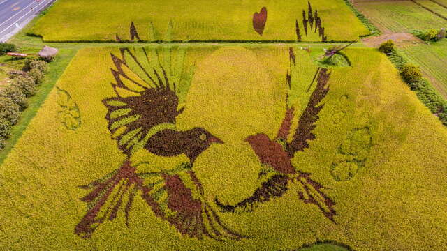 꽌산 쌀나라 학교