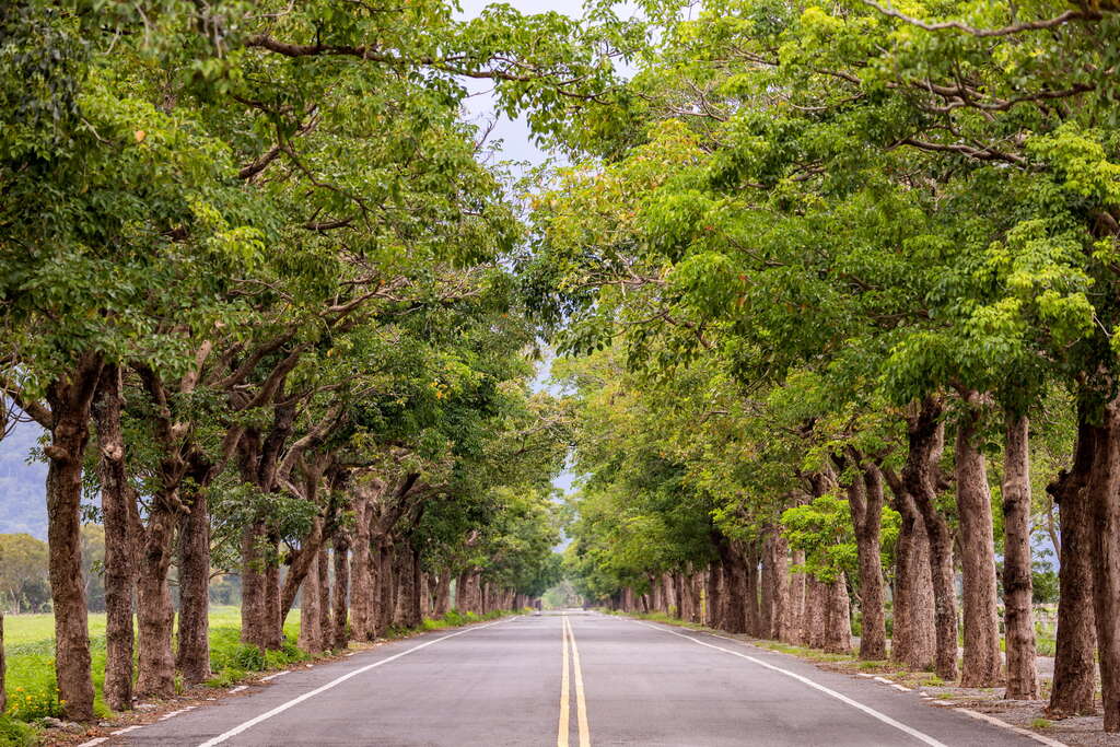 Tai Tang Pastoral Resort