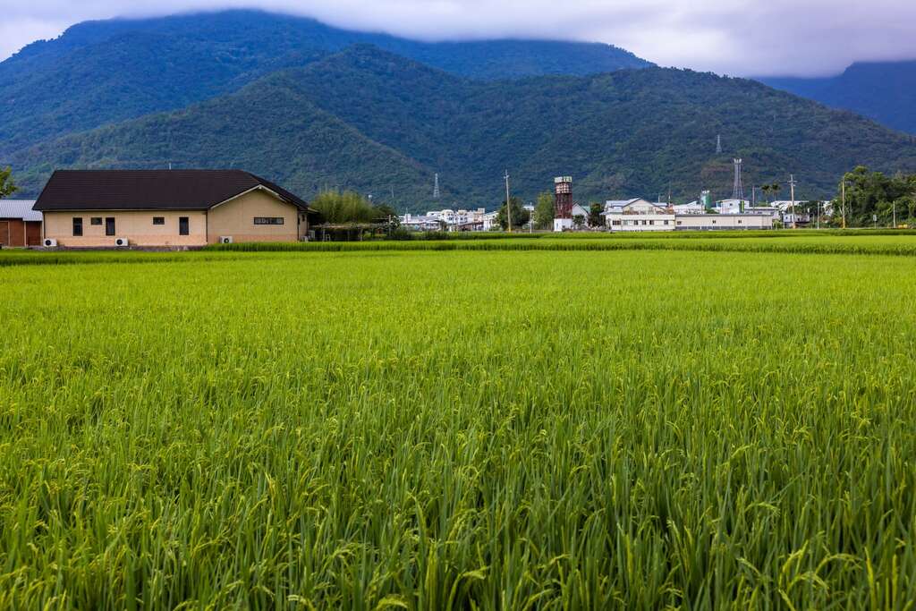 関山環鎮サイクリングロード