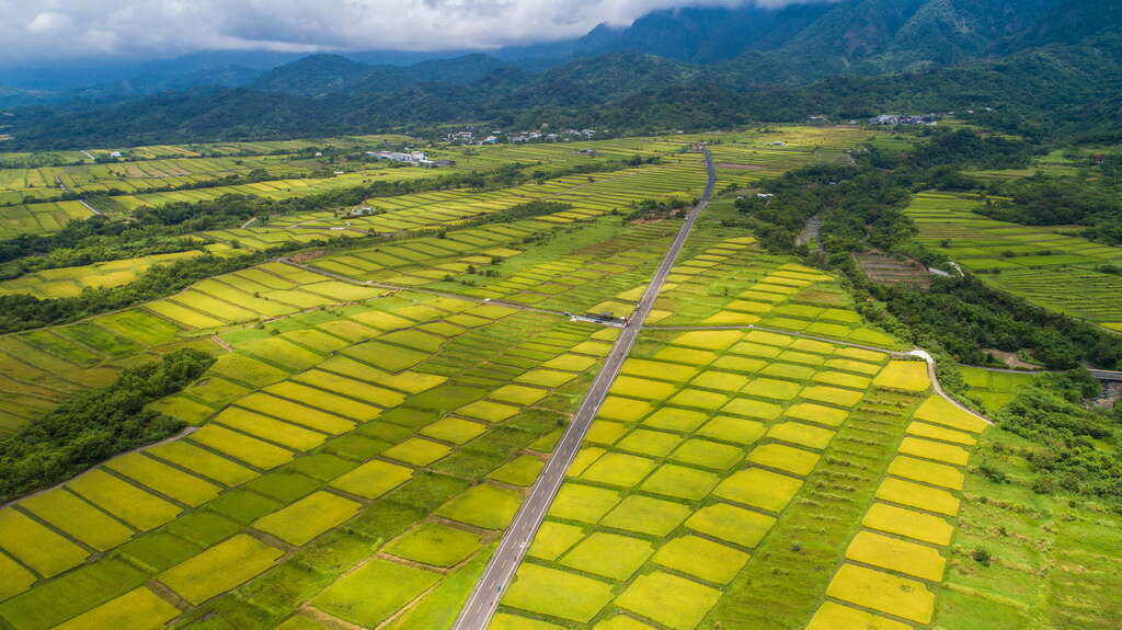 DJI_201806100122_调整大小