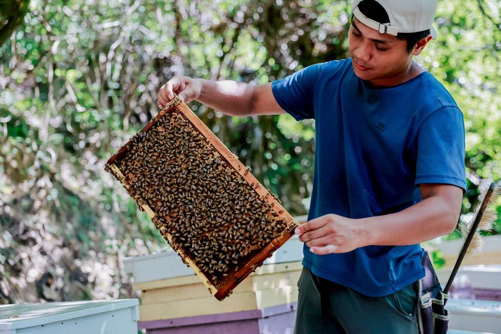 以「慢冒險」、「慢呼吸」、「慢思緒」為主題_圖片取自臺東縣政府縣政新聞