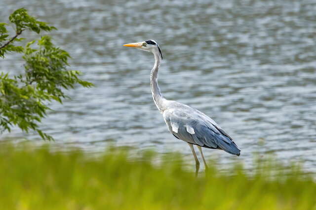 National Taitung University Library and Information Center