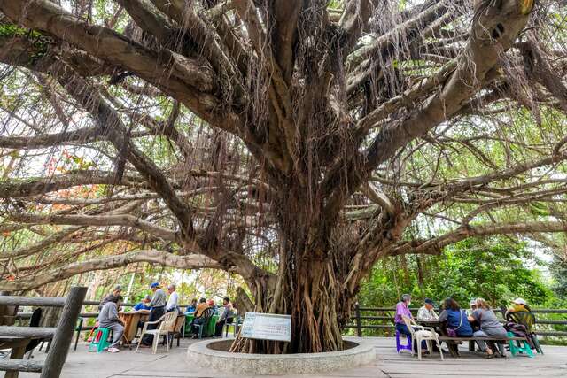 Liyu (Carp) Mountain Park