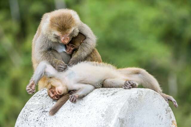 Donghe Bridge Scenic Area