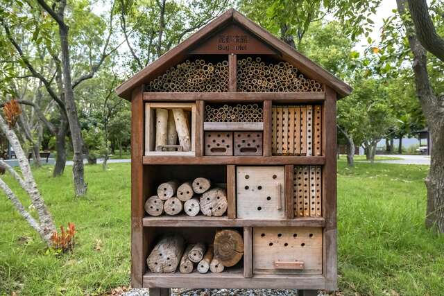 타이둥 삼림공원