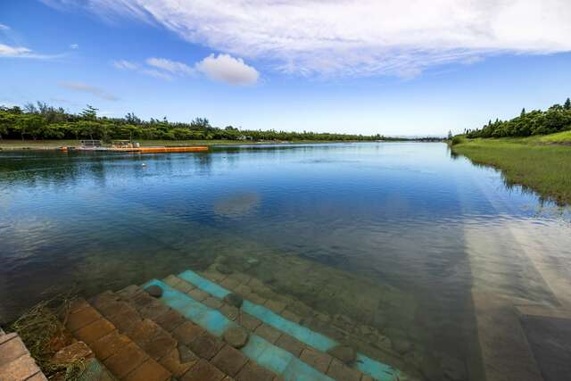 타이둥 삼림공원